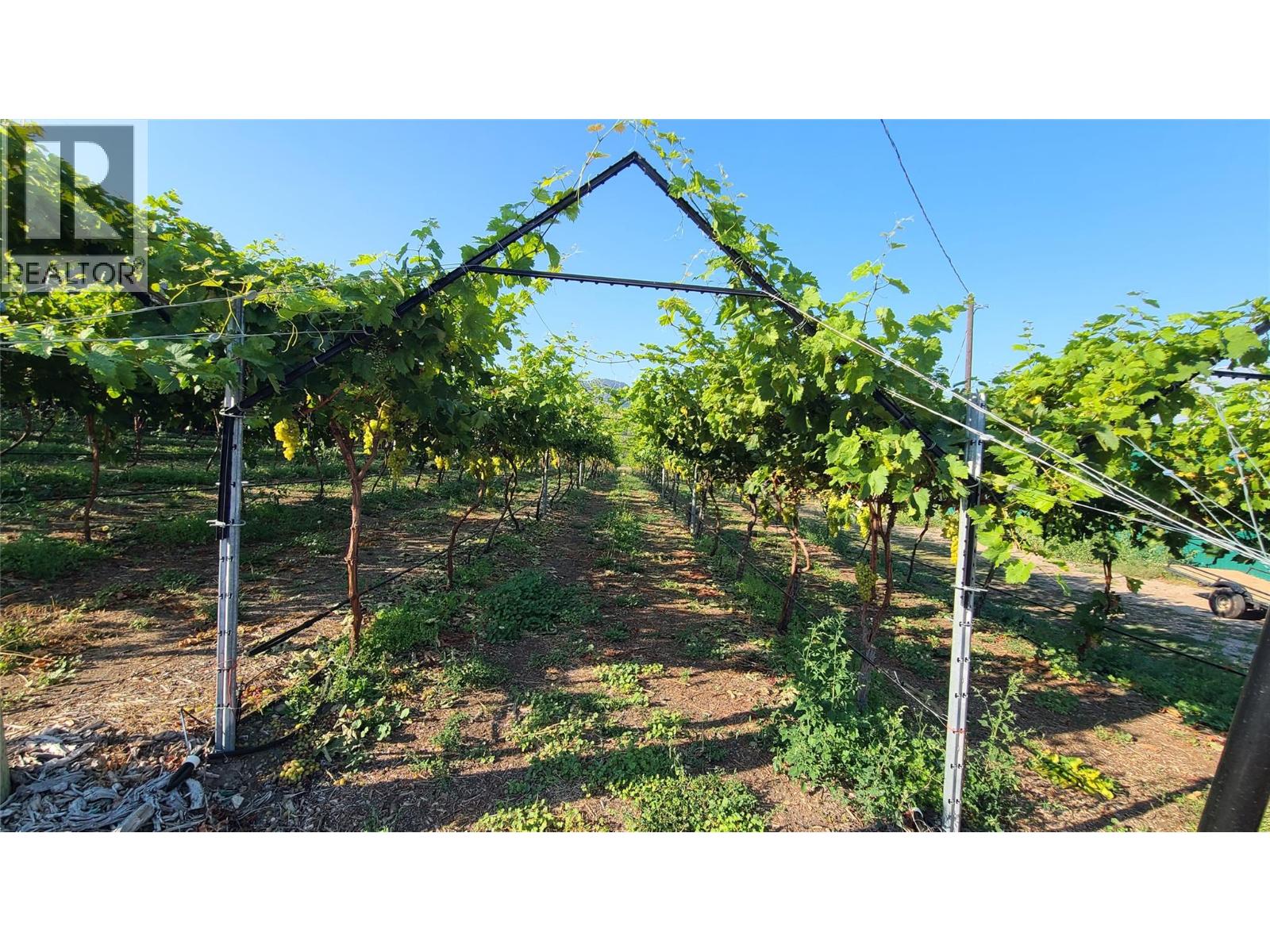 7298 97 Highway, Oliver, British Columbia  V0H 1T0 - Photo 3 - 10362673