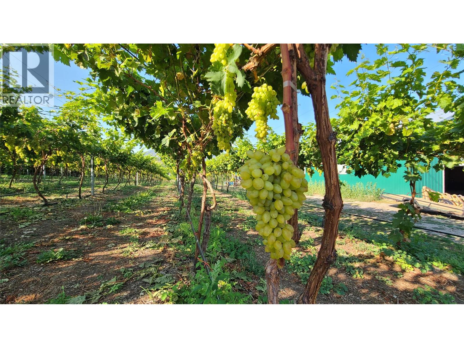 7298 97 Highway, Oliver, British Columbia  V0H 1T0 - Photo 4 - 10362673