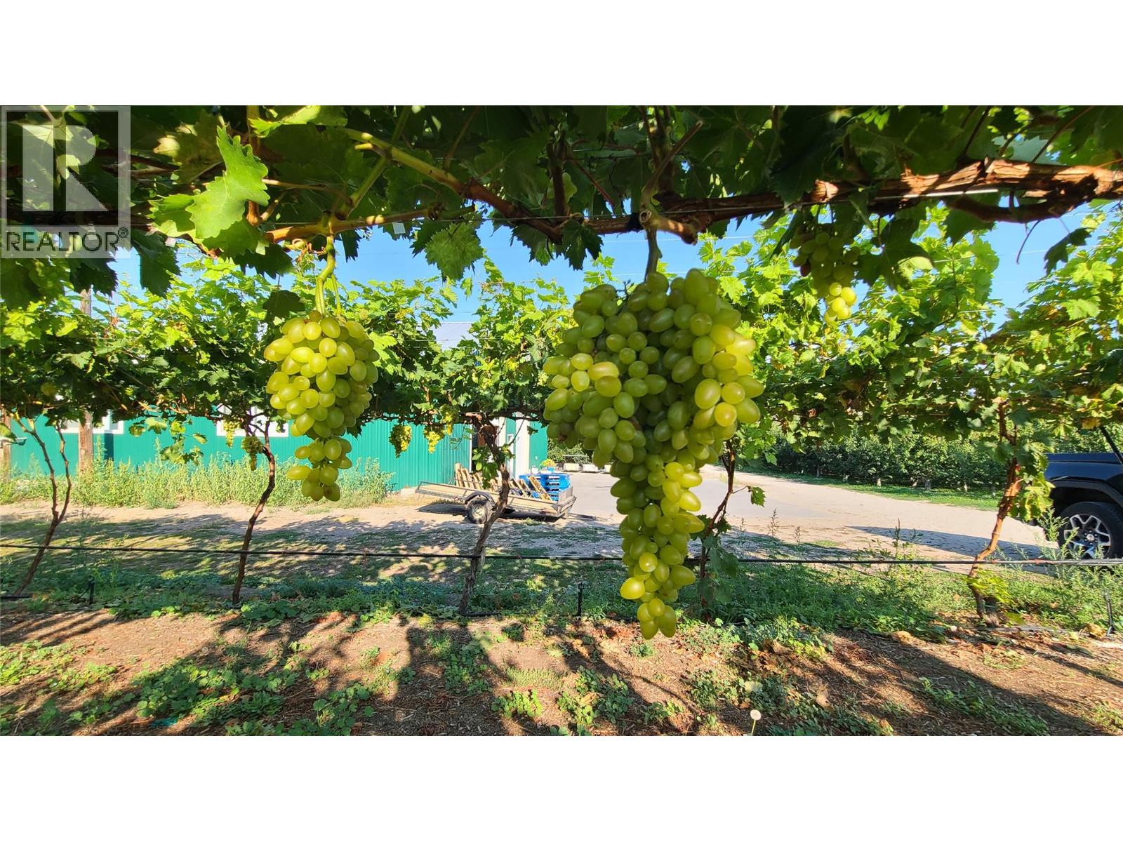 7298 97 Highway, Oliver, British Columbia  V0H 1T0 - Photo 5 - 10362673