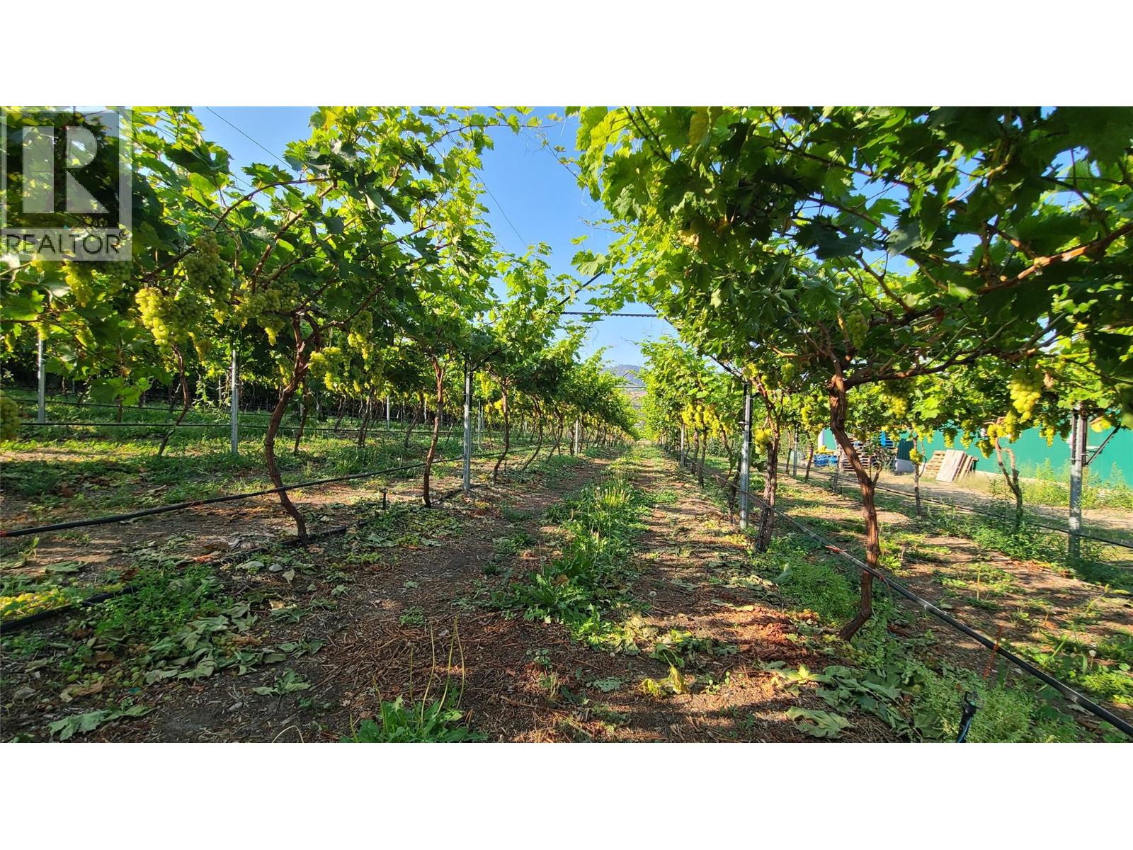 7298 97 Highway, Oliver, British Columbia  V0H 1T0 - Photo 6 - 10362673