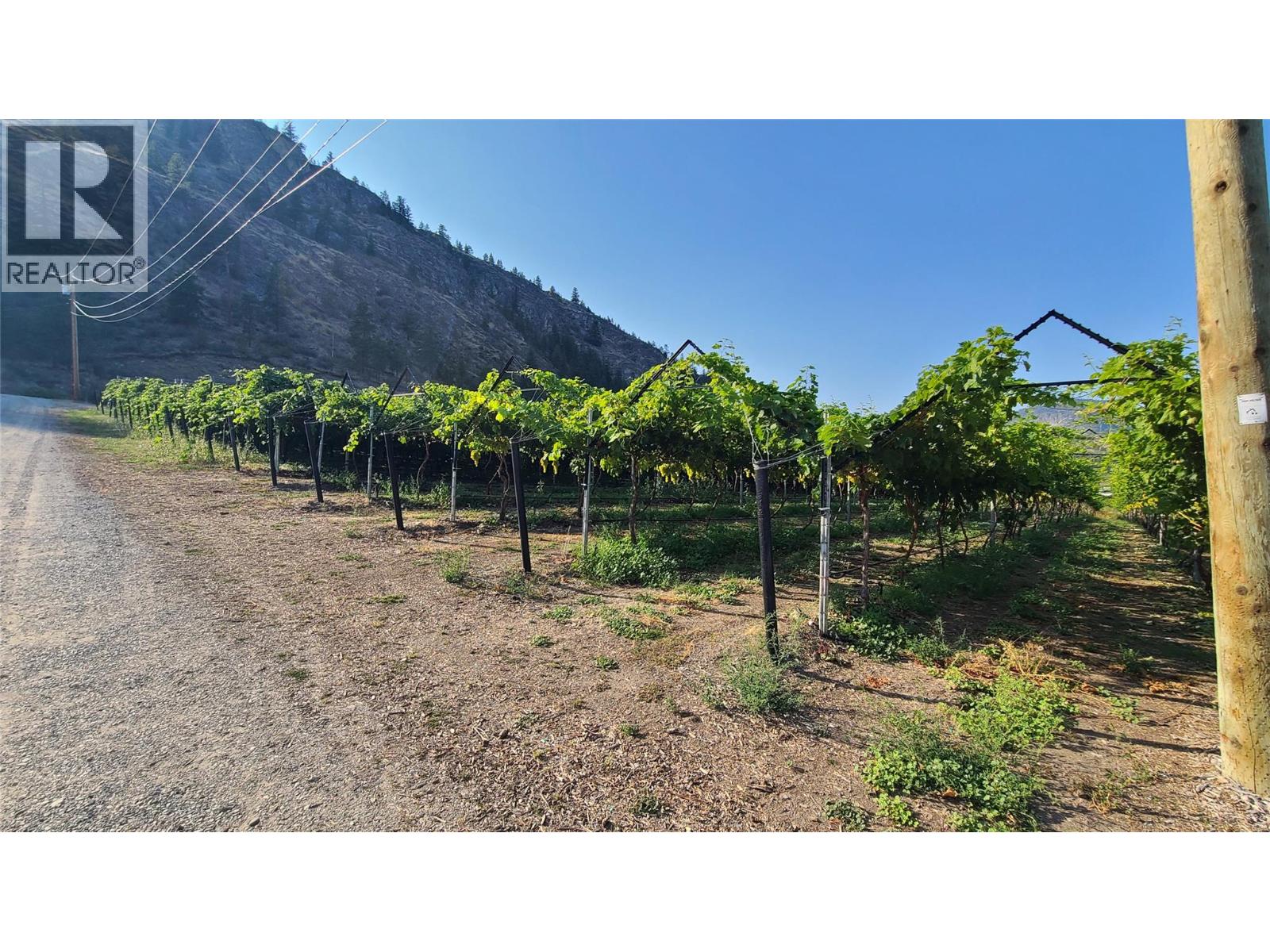 7298 97 Highway, Oliver, British Columbia  V0H 1T0 - Photo 7 - 10362673