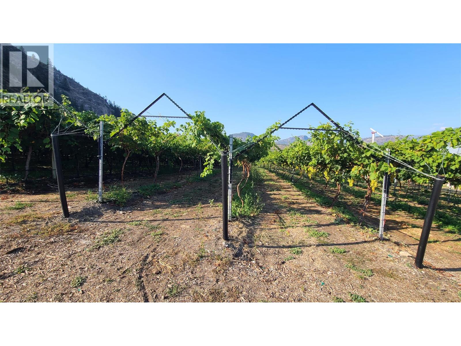 7298 97 Highway, Oliver, British Columbia  V0H 1T0 - Photo 8 - 10362673