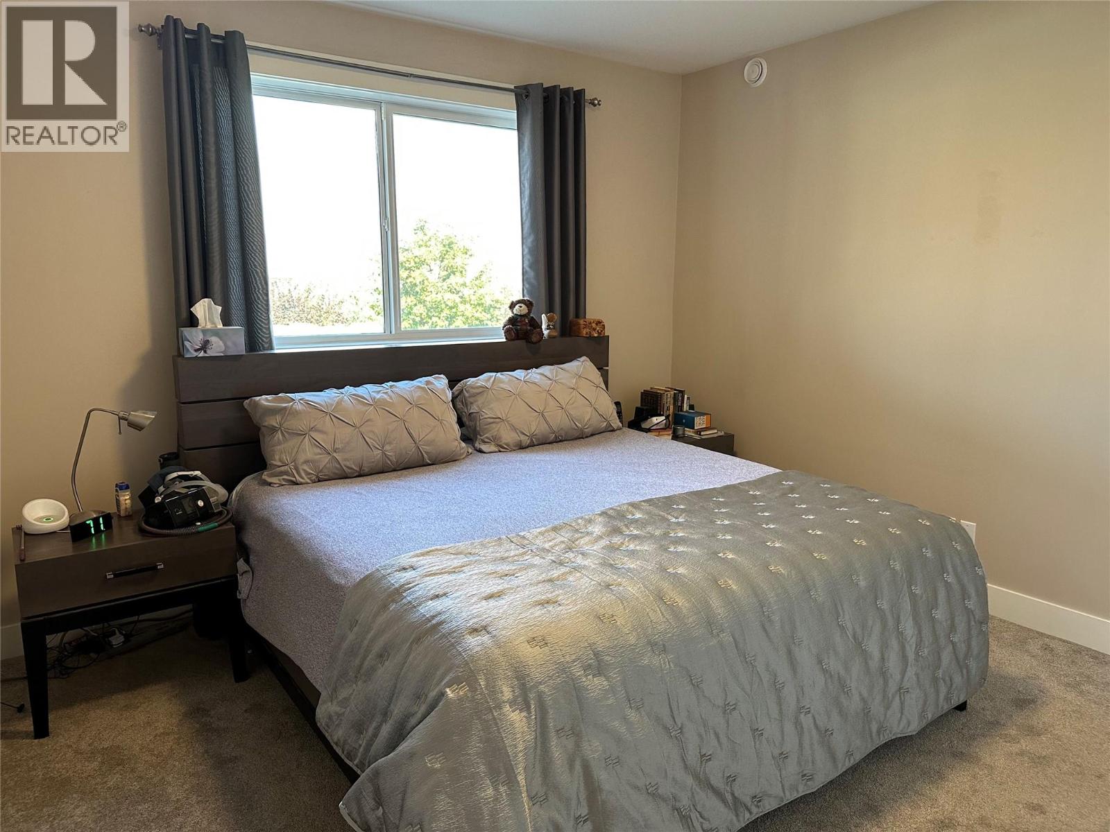 440 Merlot Avenue, Oliver, British Columbia  V0H 1T4 - Photo 19 - 10362721