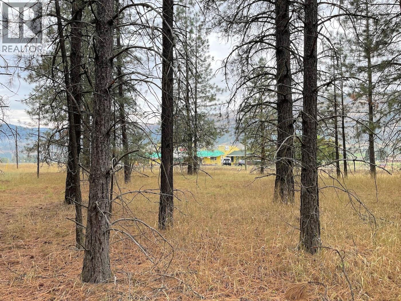 Highway 3 Lot# 32, Grand Forks, British Columbia  V0H 1H0 - Photo 8 - 10363300