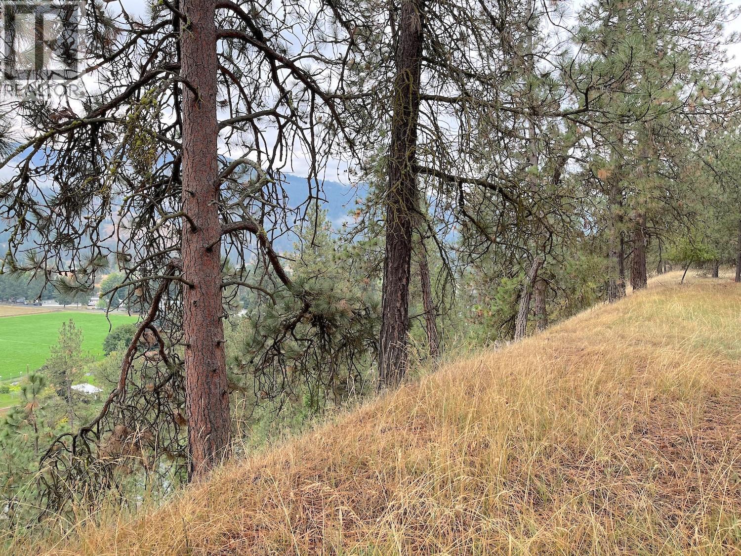 Highway 3 Lot# 32, Grand Forks, British Columbia  V0H 1H0 - Photo 9 - 10363300