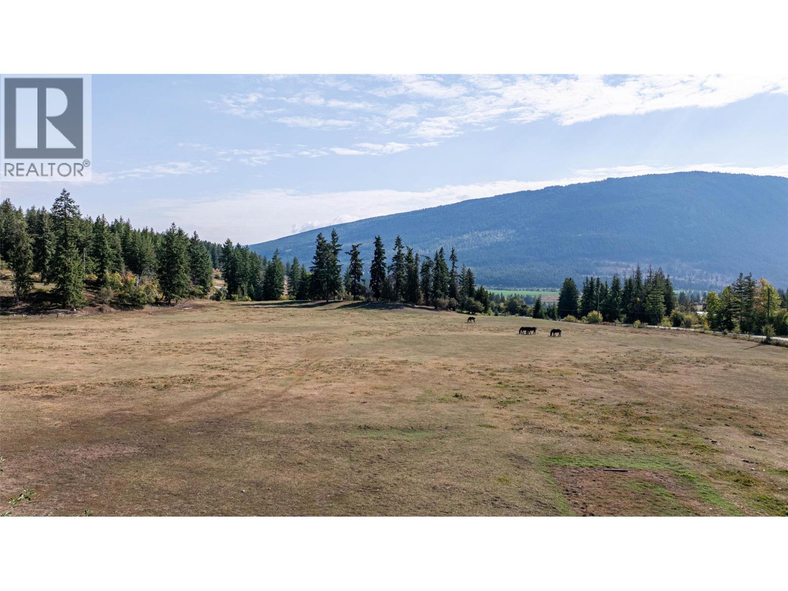 4210 White Lake Road, Tappen, British Columbia  V0E 2W1 - Photo 16 - 10362758