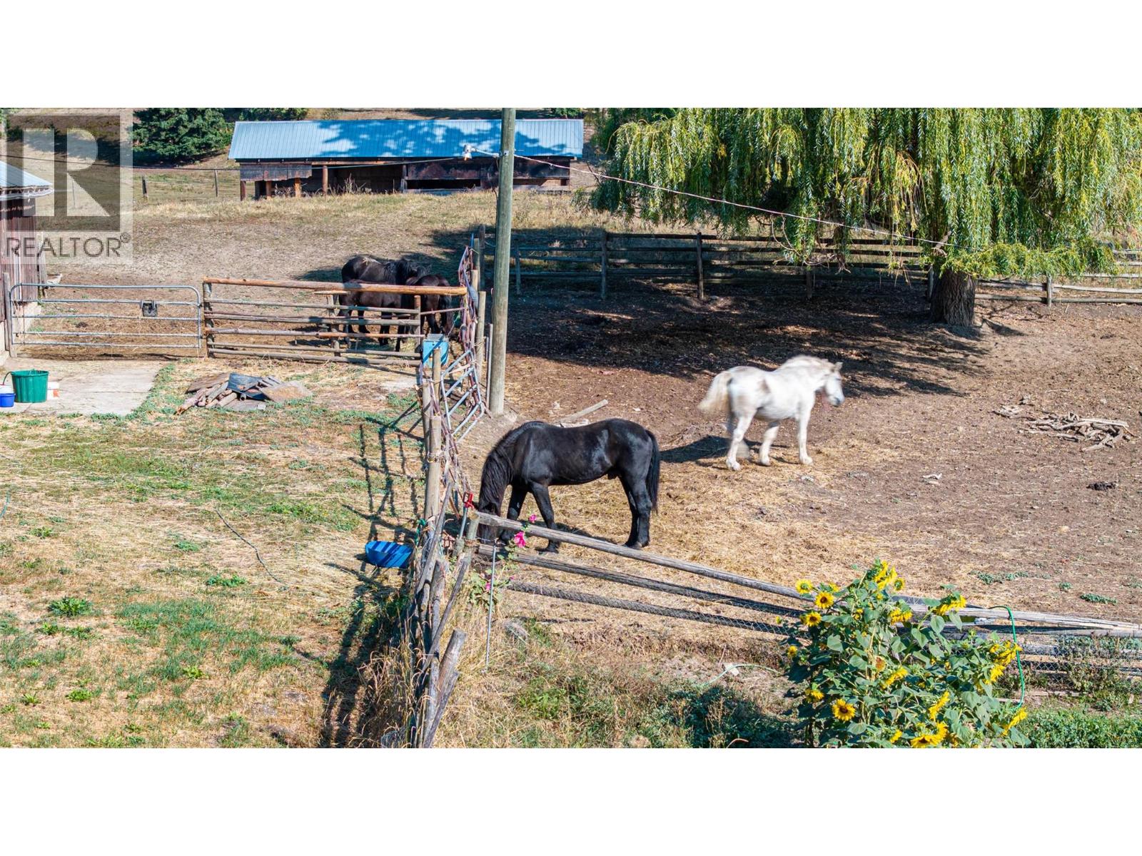 4210 White Lake Road, Tappen, British Columbia  V0E 2W1 - Photo 36 - 10362758