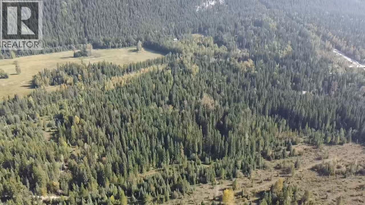 2237 Blaeberry Road, Golden, British Columbia  V0A 1H1 - Photo 13 - 10363361