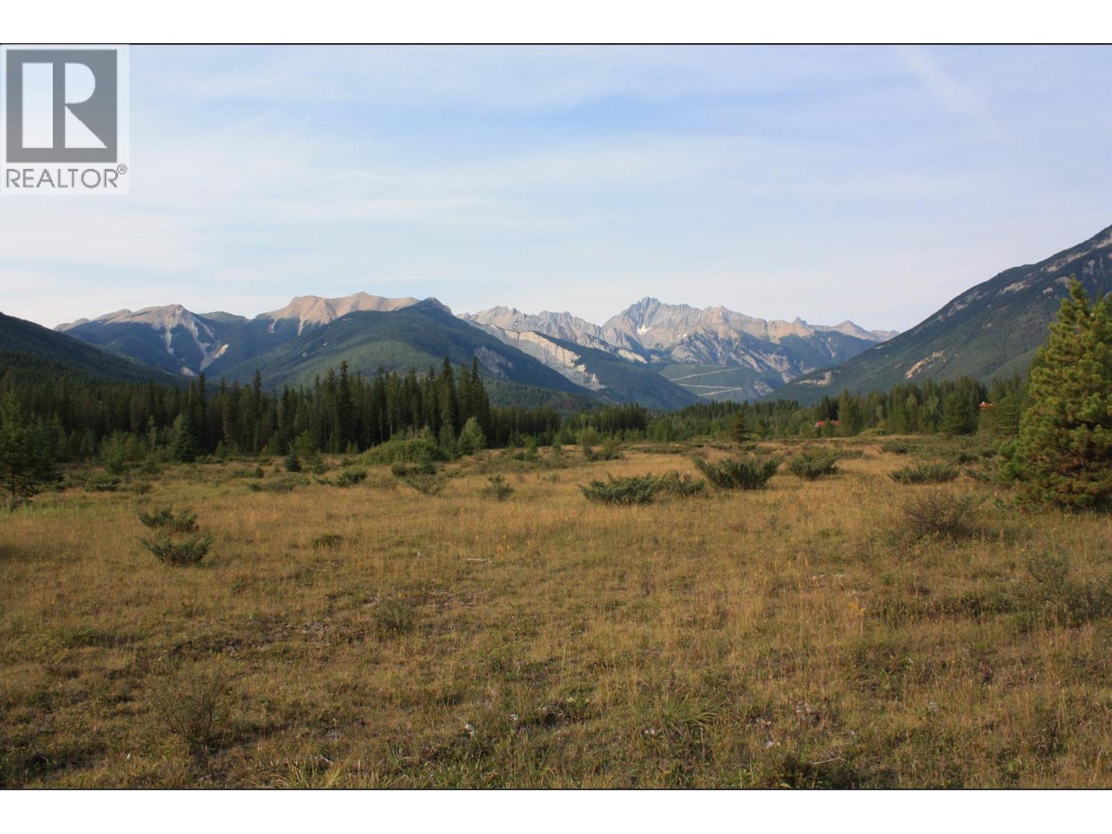 2237 Blaeberry Road, Golden, British Columbia  V0A 1H1 - Photo 3 - 10363361