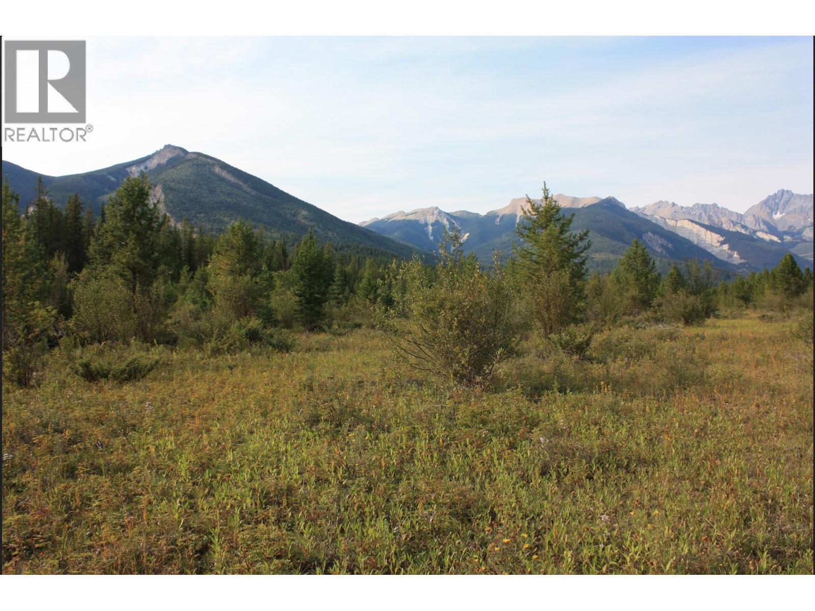 2237 Blaeberry Road, Golden, British Columbia  V0A 1H1 - Photo 4 - 10363361