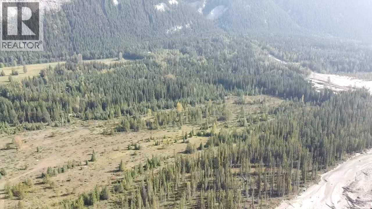 2237 Blaeberry Road, Golden, British Columbia  V0A 1H1 - Photo 8 - 10363361