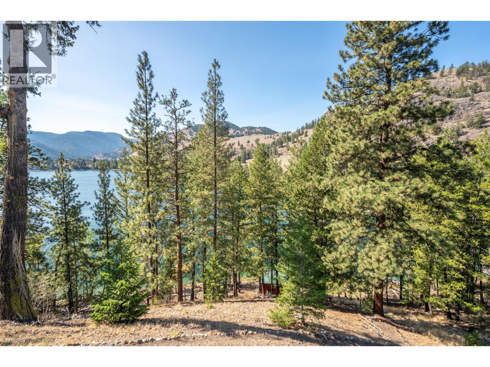 234 Twin Lakes Road, Kaleden, British Columbia  V0H 1K0 - Photo 43 - 10363476