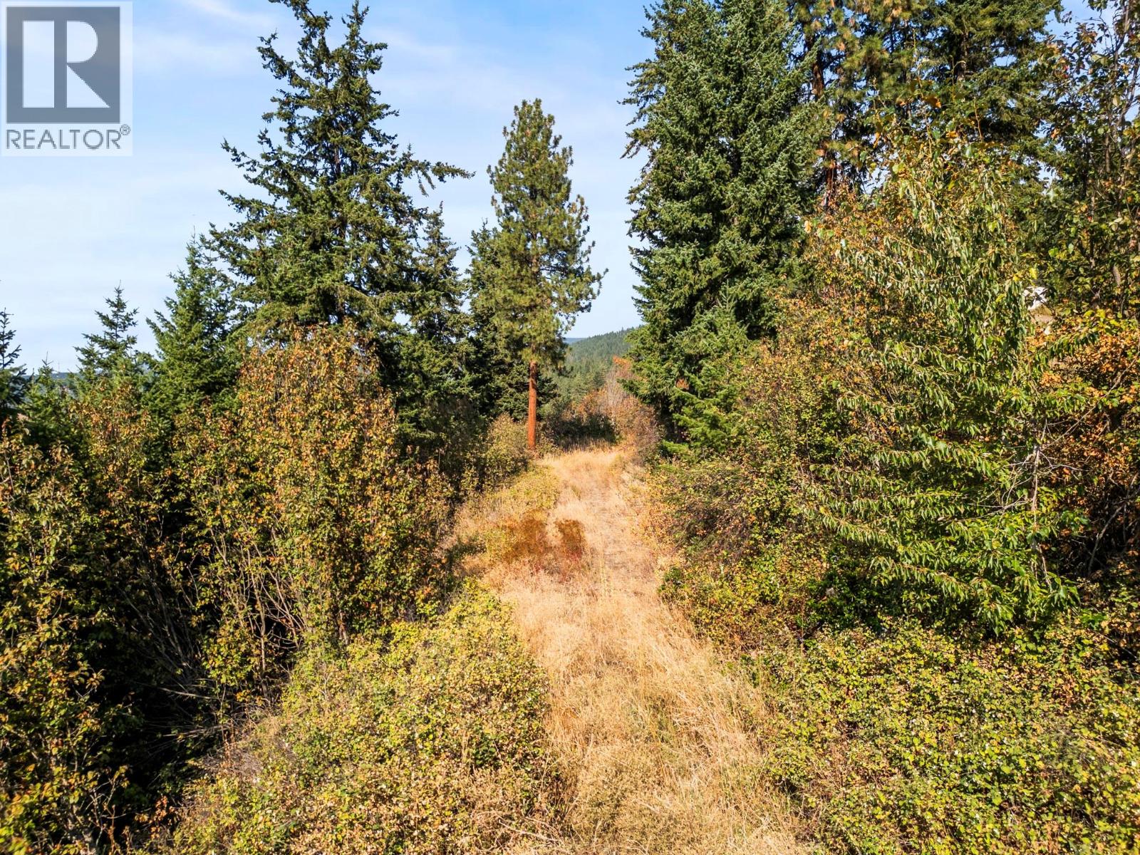 Remainder Lot 2 Kingsview Road, Vernon, British Columbia  V1B 3J5 - Photo 3 - 10363246