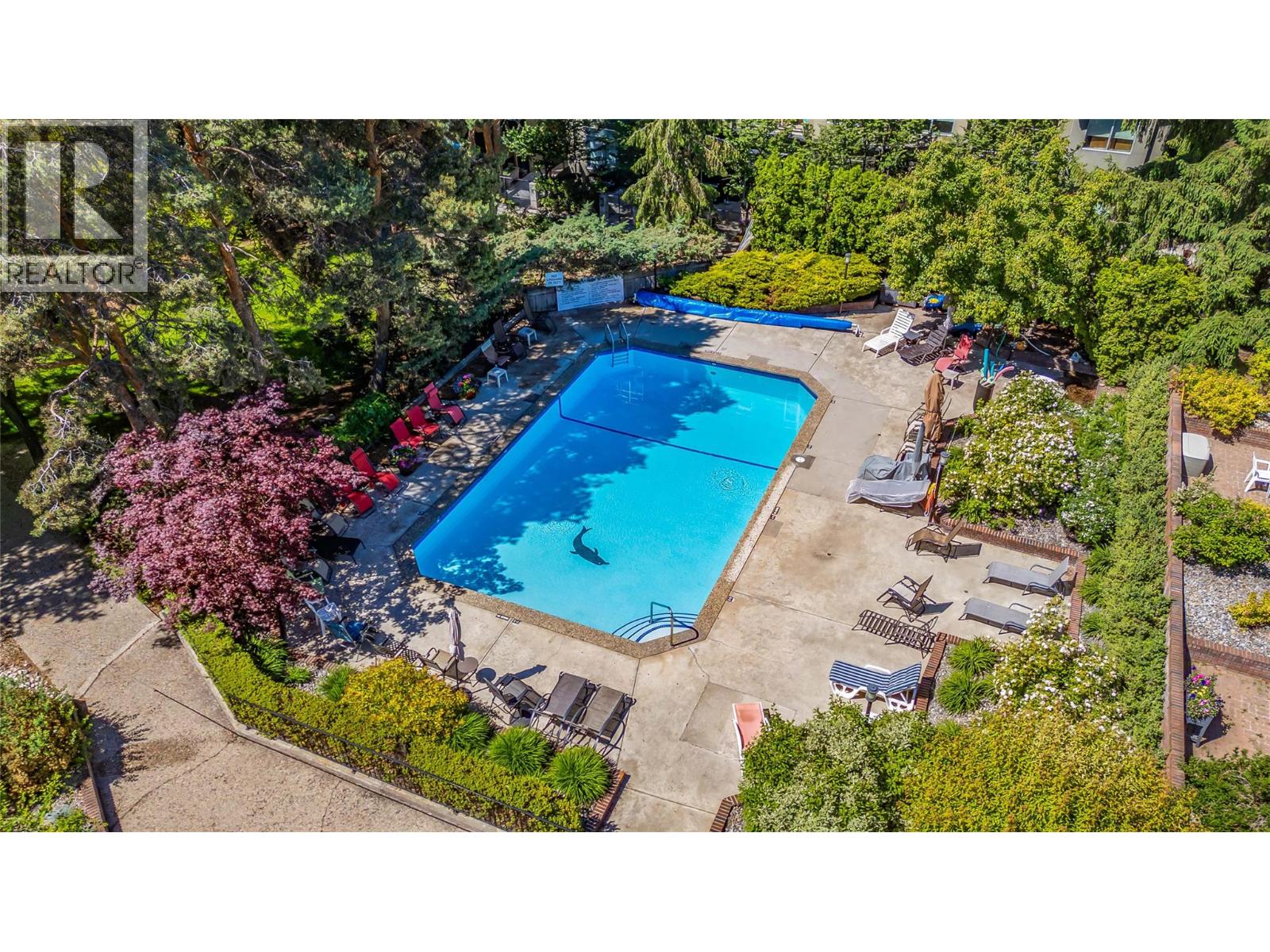 1056 Bernard Avenue Unit# 216, Kelowna, British Columbia  V1Y 8L7 - Photo 28 - 10362901