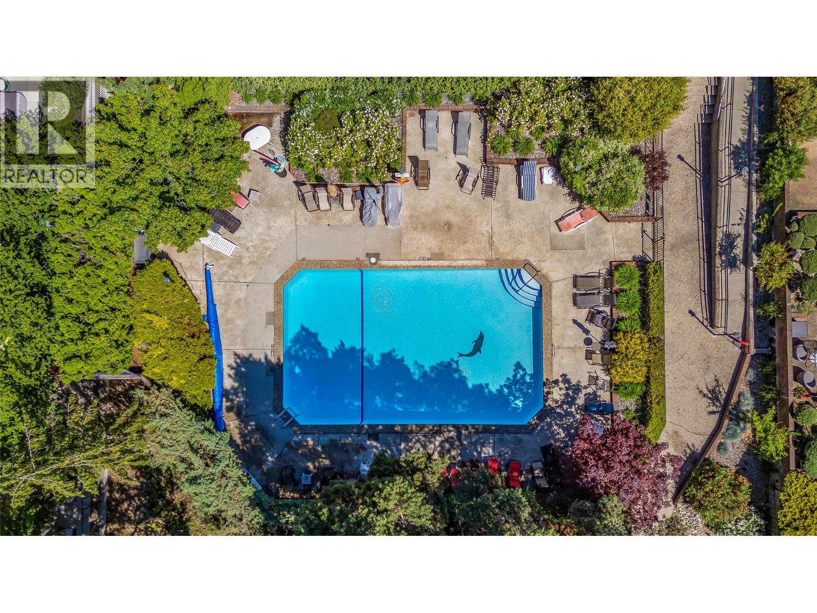 1056 Bernard Avenue Unit# 216, Kelowna, British Columbia  V1Y 8L7 - Photo 30 - 10362901