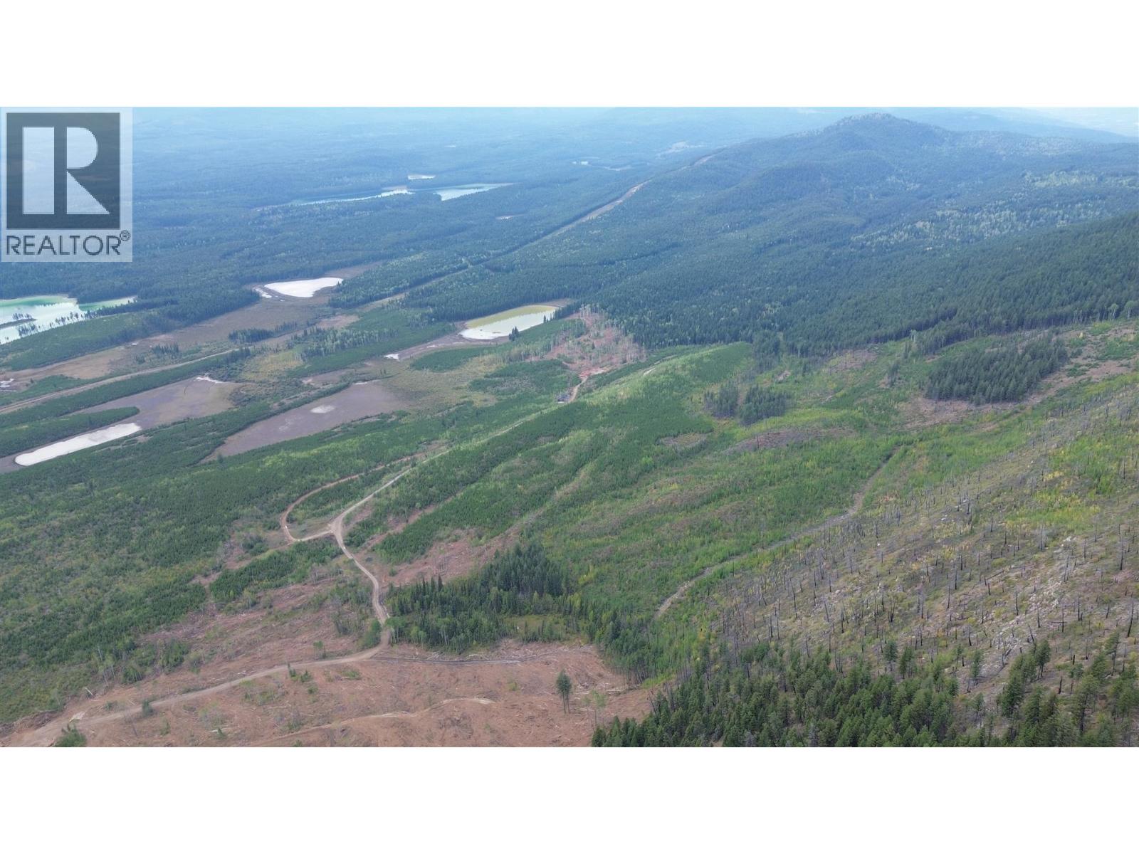 Dl 10766 Giant Min Road, Spillimacheen, British Columbia  V0A 1P0 - Photo 10 - 10363579