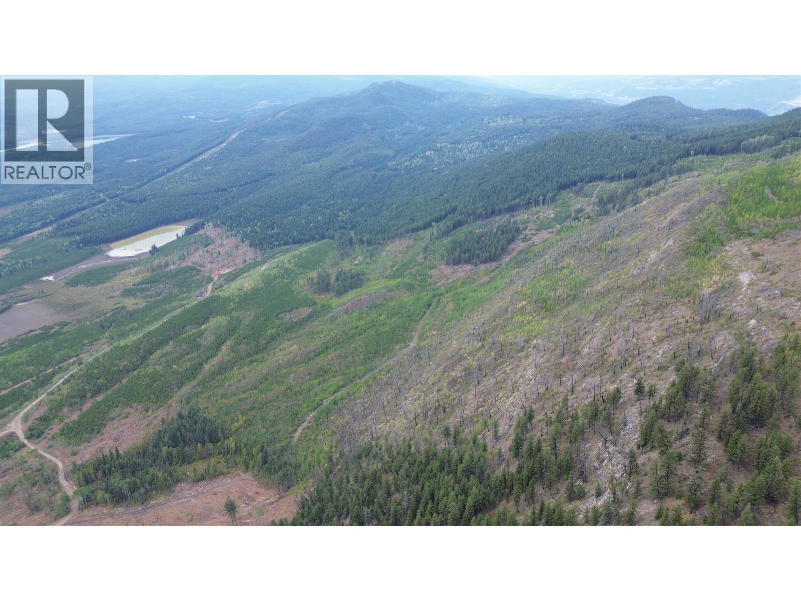 Dl 10766 Giant Min Road, Spillimacheen, British Columbia  V0A 1P0 - Photo 12 - 10363579