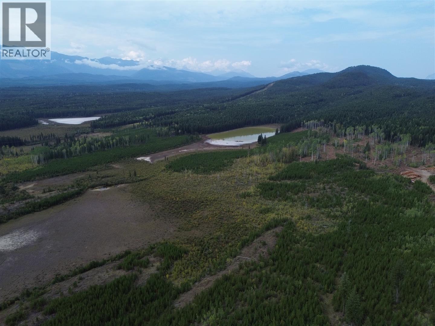 Dl 10766 Giant Min Road, Spillimacheen, British Columbia  V0A 1P0 - Photo 14 - 10363579