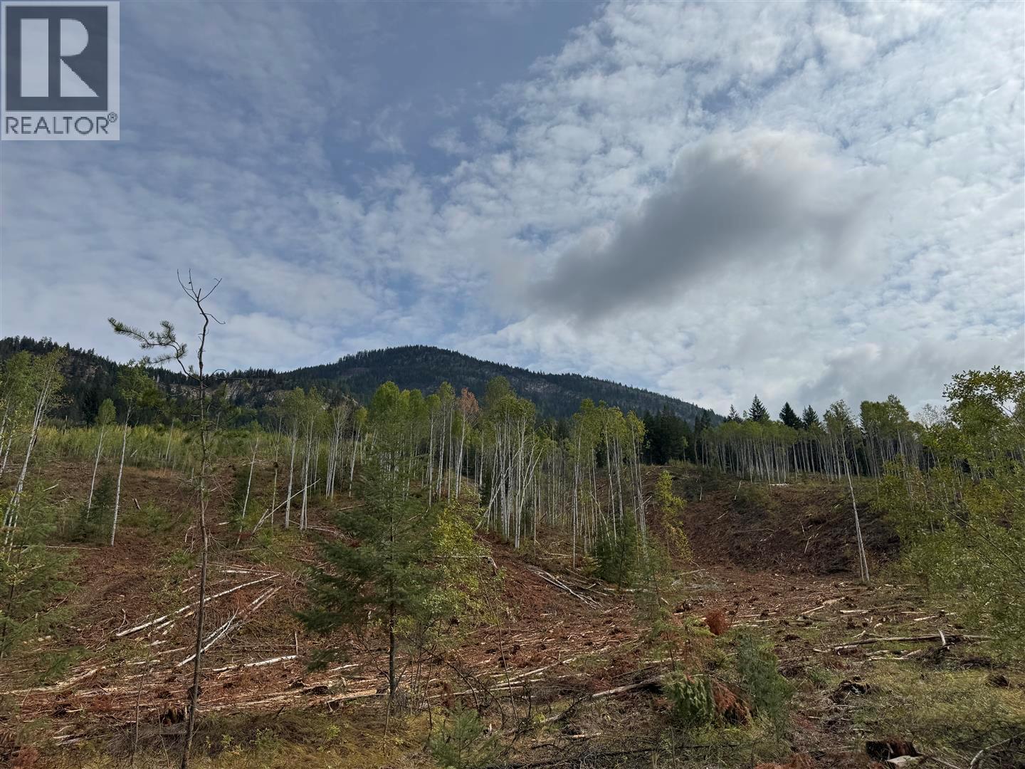 Dl 10766 Giant Min Road, Spillimacheen, British Columbia  V0A 1P0 - Photo 19 - 10363579