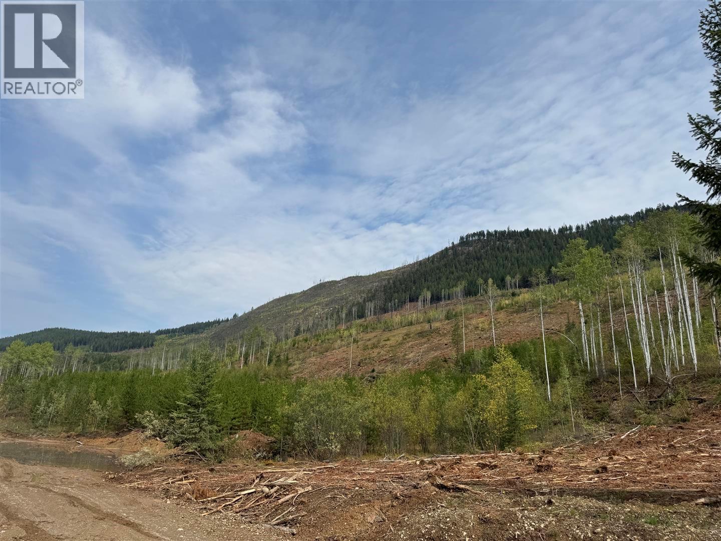 Dl 10766 Giant Min Road, Spillimacheen, British Columbia  V0A 1P0 - Photo 20 - 10363579