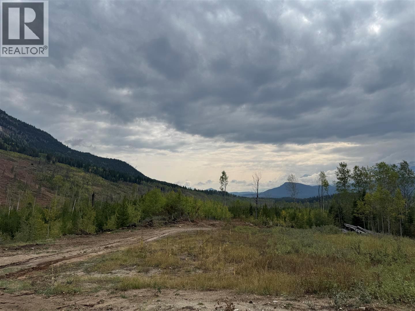 Dl 10766 Giant Min Road, Spillimacheen, British Columbia  V0A 1P0 - Photo 21 - 10363579