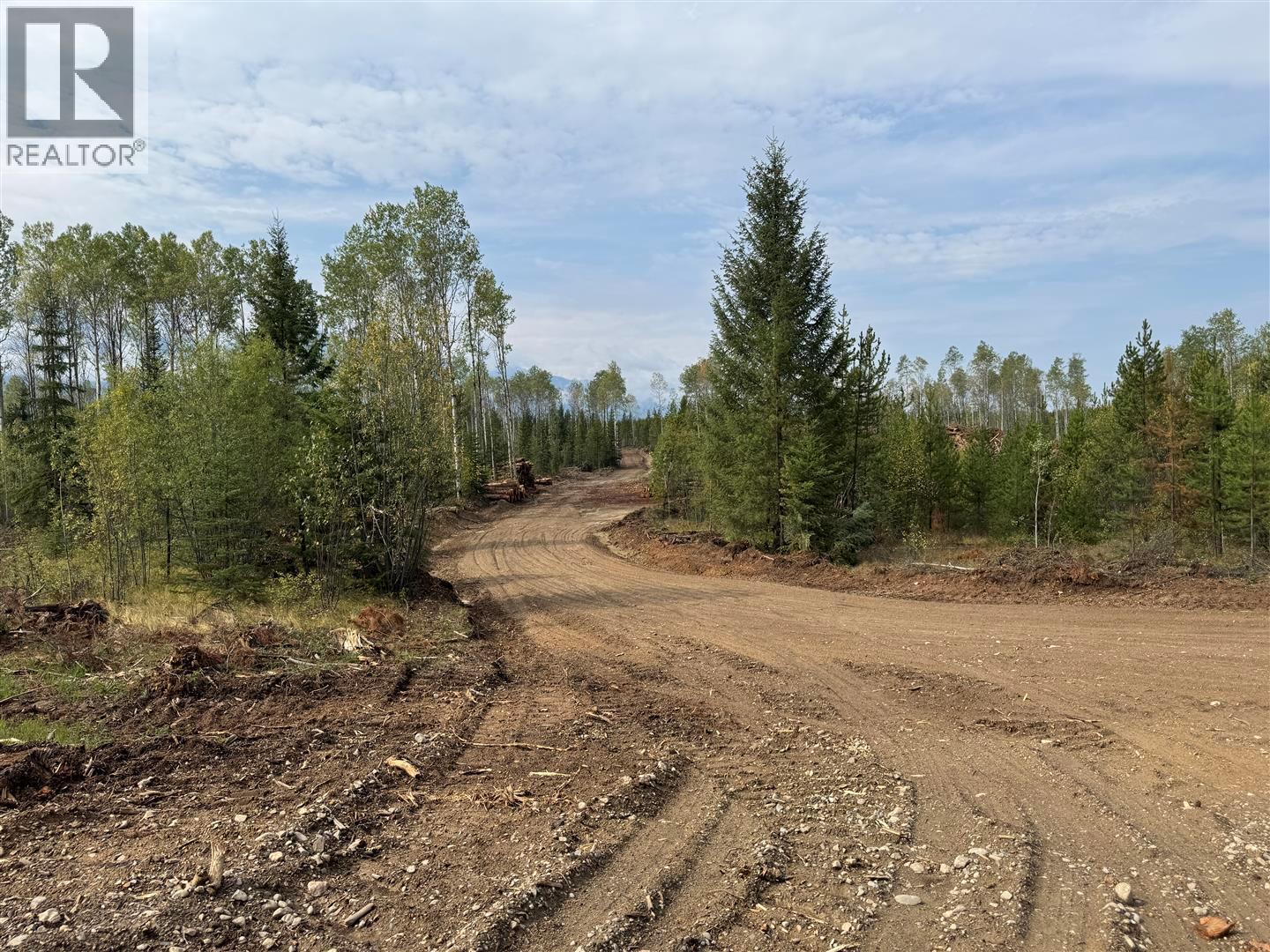 Dl 10766 Giant Min Road, Spillimacheen, British Columbia  V0A 1P0 - Photo 22 - 10363579