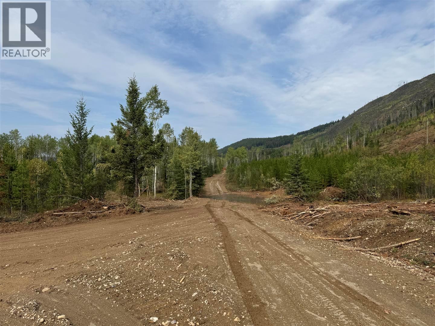 Dl 10766 Giant Min Road, Spillimacheen, British Columbia  V0A 1P0 - Photo 28 - 10363579