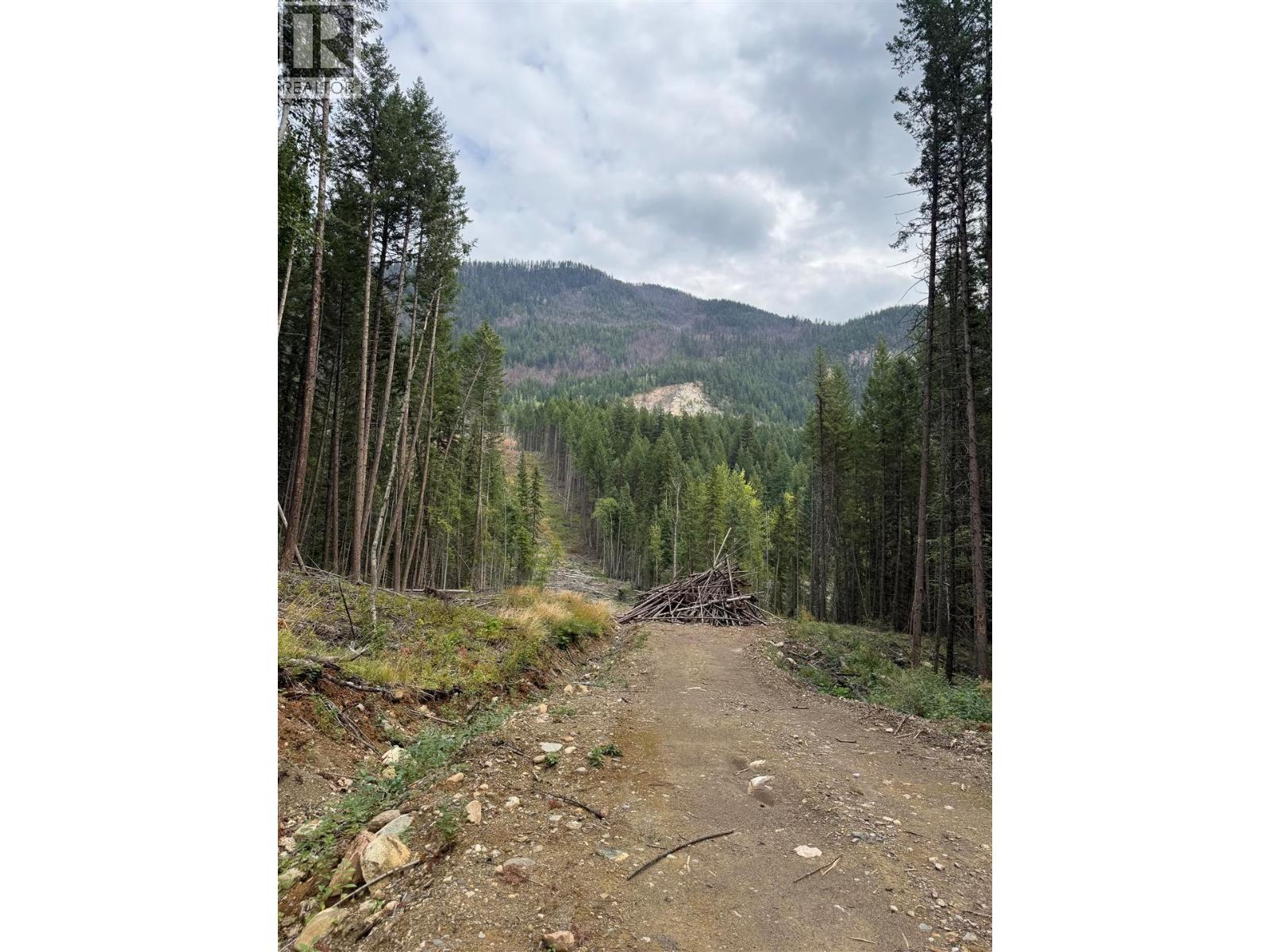 Dl 10766 Giant Min Road, Spillimacheen, British Columbia  V0A 1P0 - Photo 3 - 10363579