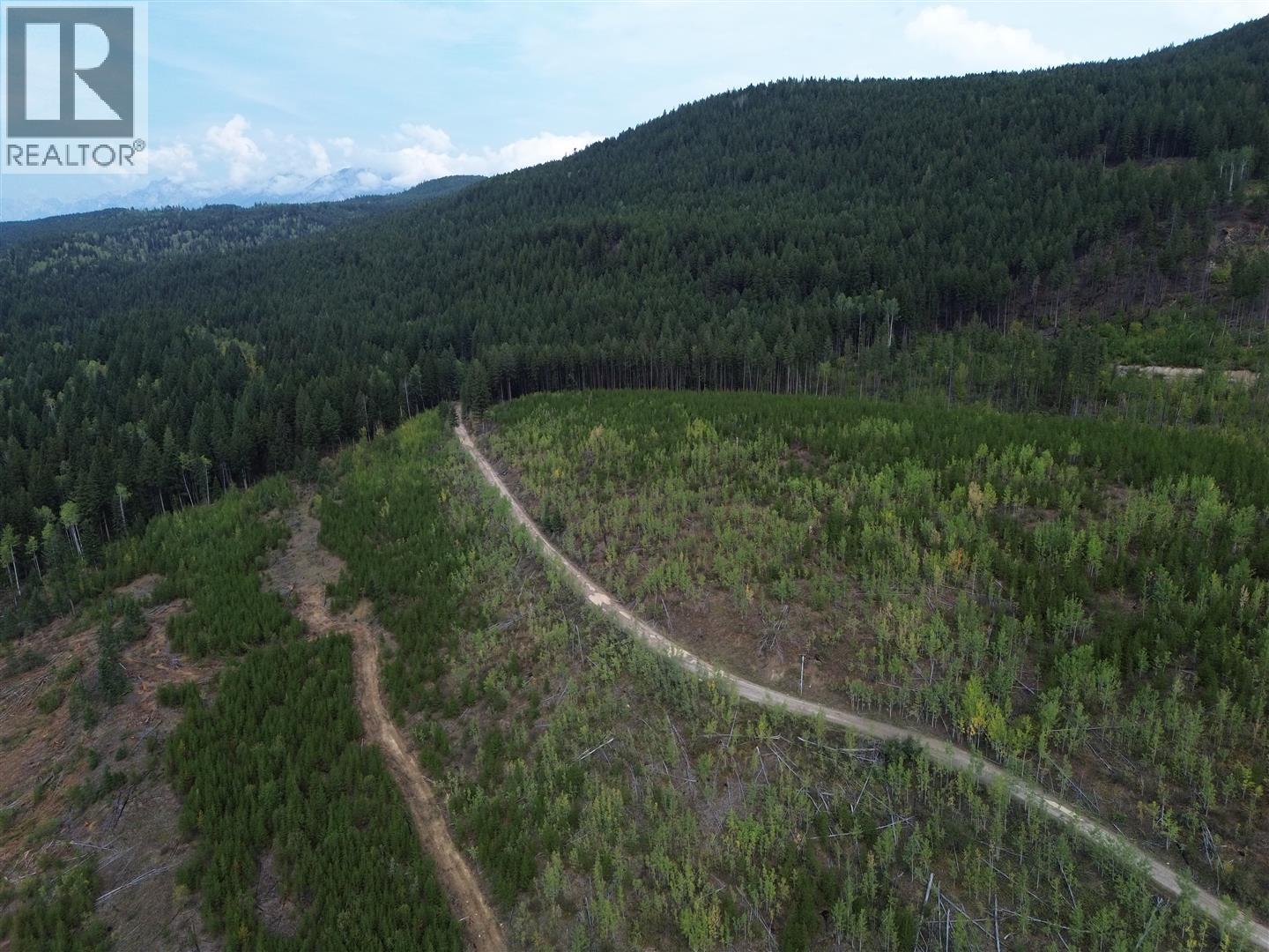 Dl 10766 Giant Min Road, Spillimacheen, British Columbia  V0A 1P0 - Photo 9 - 10363579