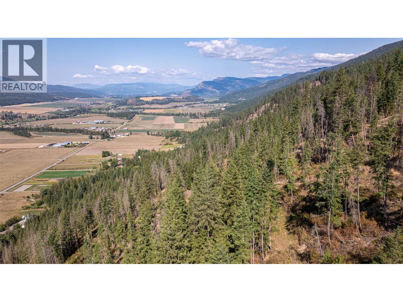 4596 Back Enderby Road, Spallumcheen, British Columbia  V0E 1B8 - Photo 20 - 10363178