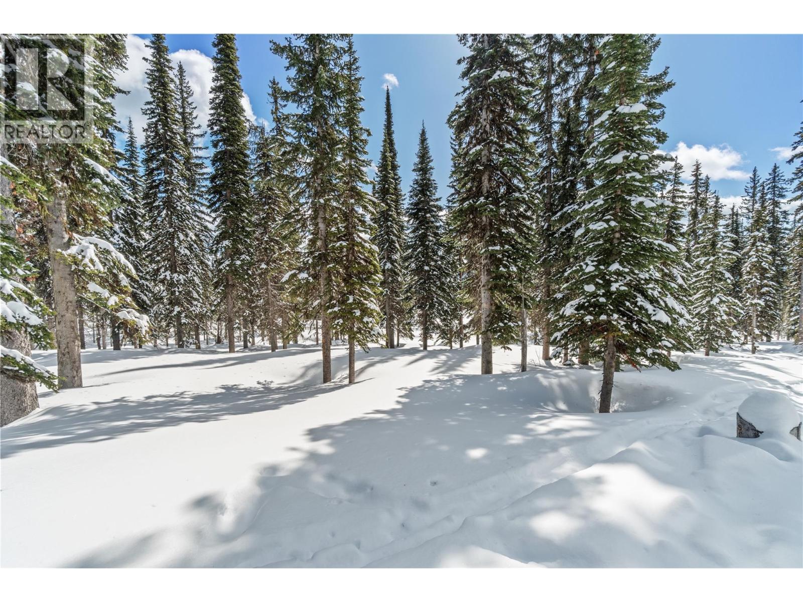 4 Black Forest Road Lot# 4, Big White, British Columbia  V1P 1P3 - Photo 11 - 10363592
