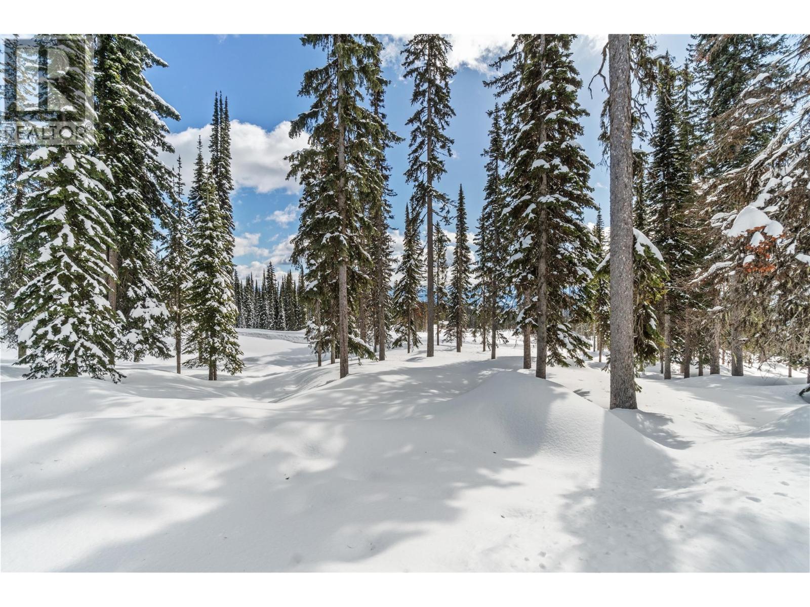 4 Black Forest Road Lot# 4, Big White, British Columbia  V1P 1P3 - Photo 13 - 10363592