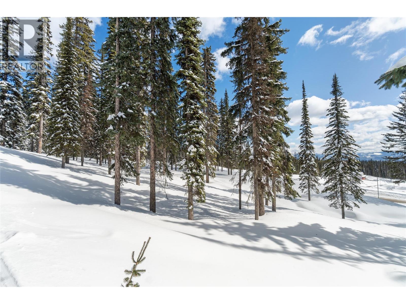 4 Black Forest Road Lot# 4, Big White, British Columbia  V1P 1P3 - Photo 15 - 10363592