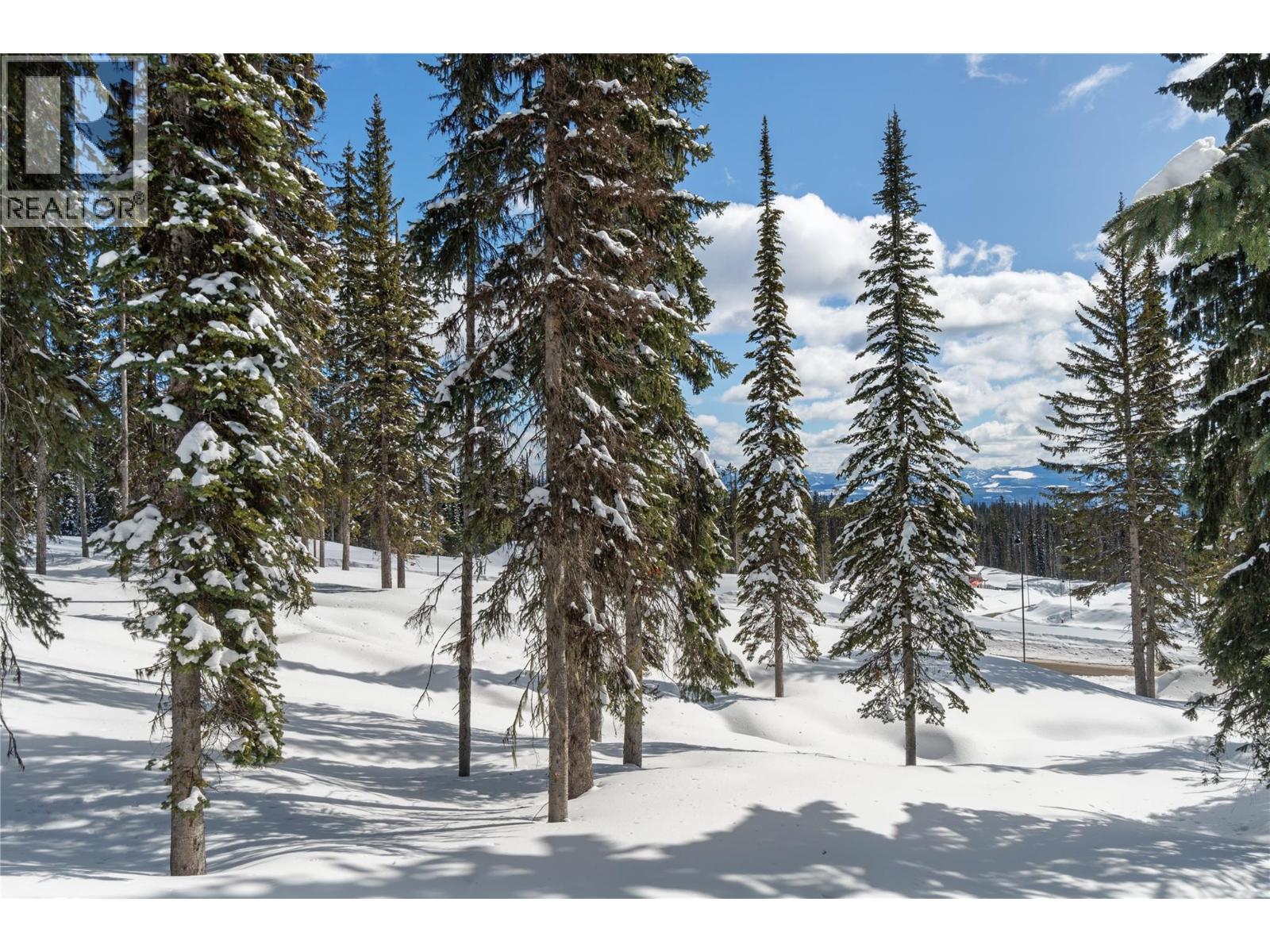 4 Black Forest Road Lot# 4, Big White, British Columbia  V1P 1P3 - Photo 16 - 10363592