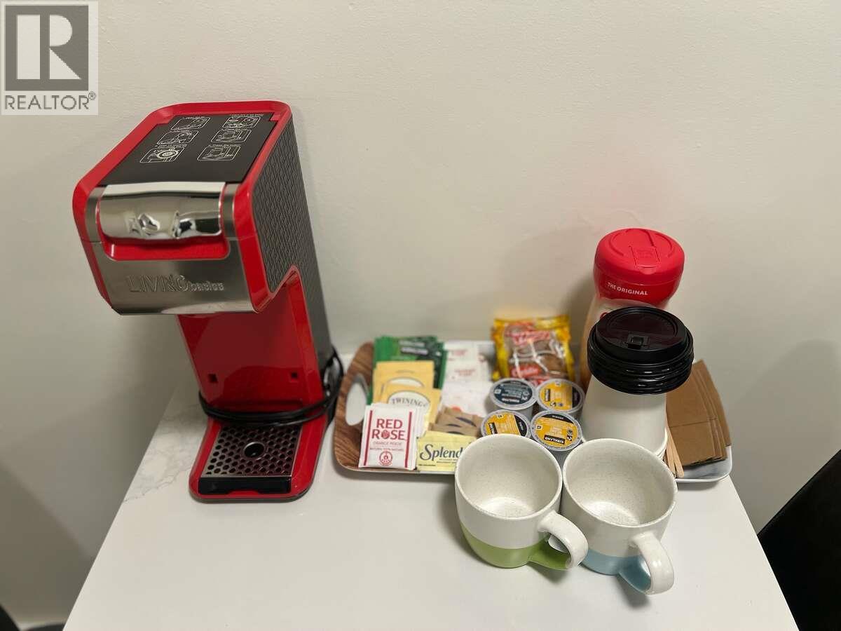 4881 St Mary's Street, Radium Hot Springs, British Columbia  V0A 1M0 - Photo 10 - 10363633