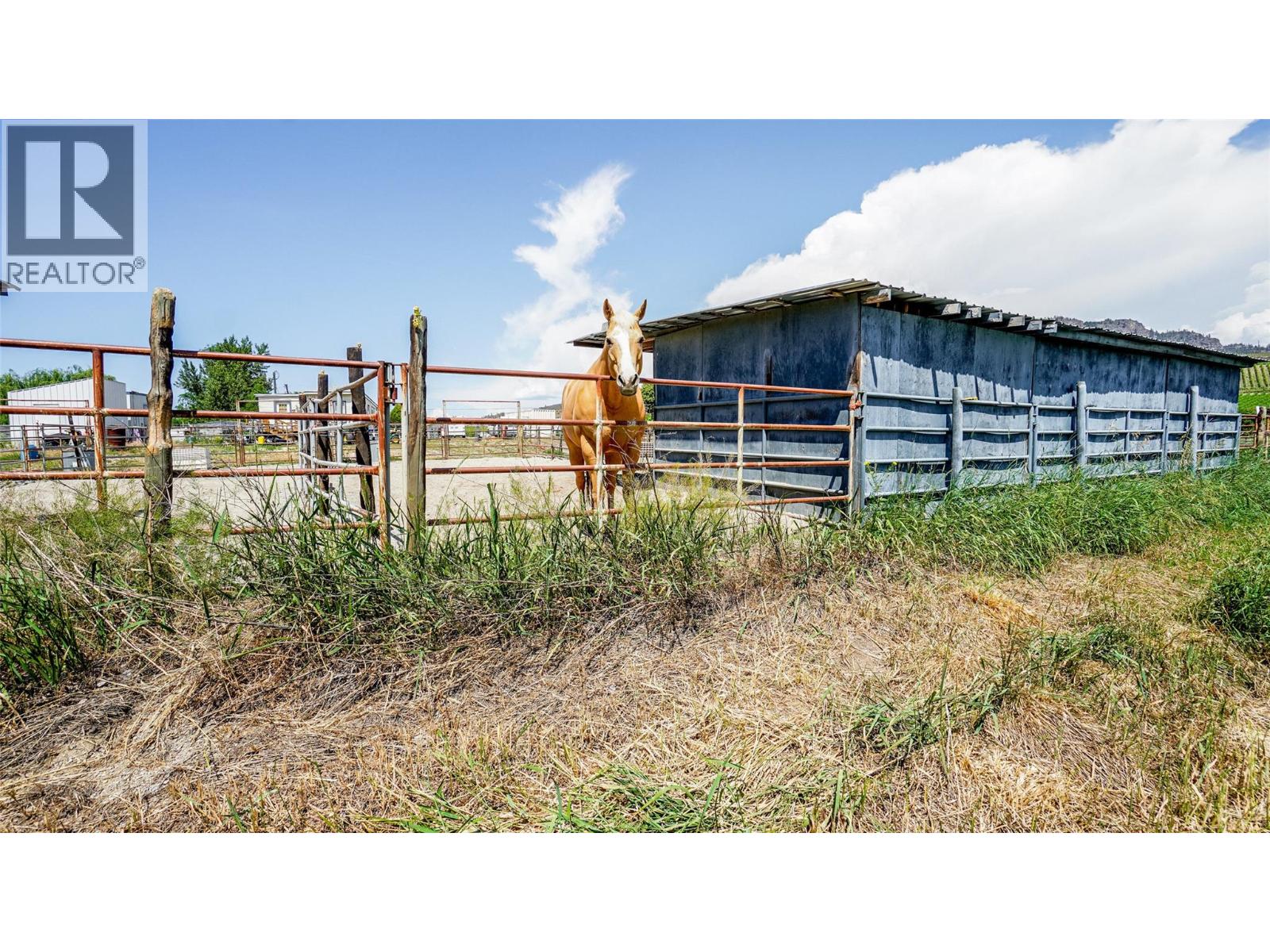 205 Greasewood Avenue, Oliver, British Columbia  V0H 1T1 - Photo 46 - 10363616