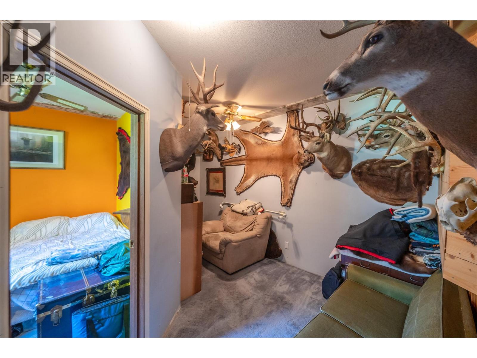 5009 13th Avenue, Okanagan Falls, British Columbia  V0H 1R4 - Photo 24 - 10363383