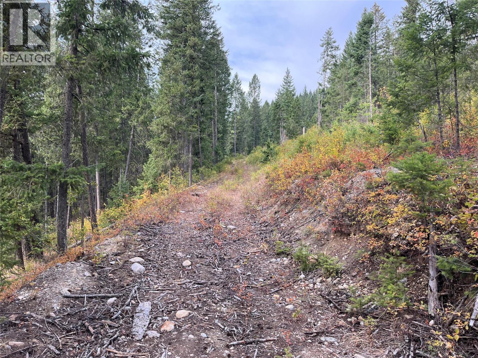 842 Almberg Road Unit# Remainder Lot# Lot, Golden, British Columbia  V0A 1H0 - Photo 1 - 10363605