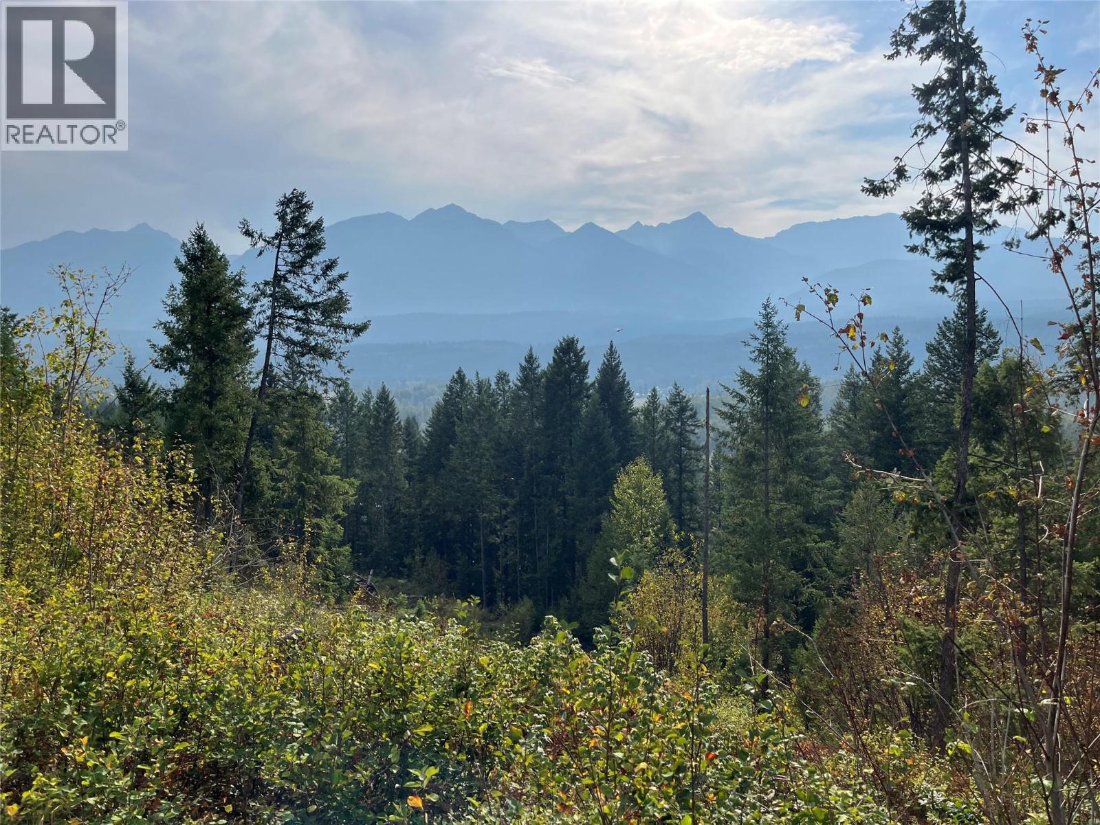 842 Almberg Road Unit# Remainder Lot# Lot, Golden, British Columbia  V0A 1H0 - Photo 10 - 10363605