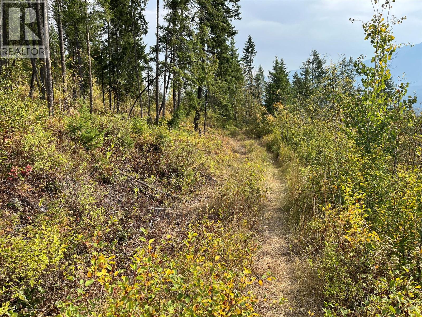 842 Almberg Road Unit# Remainder Lot# Lot, Golden, British Columbia  V0A 1H0 - Photo 11 - 10363605