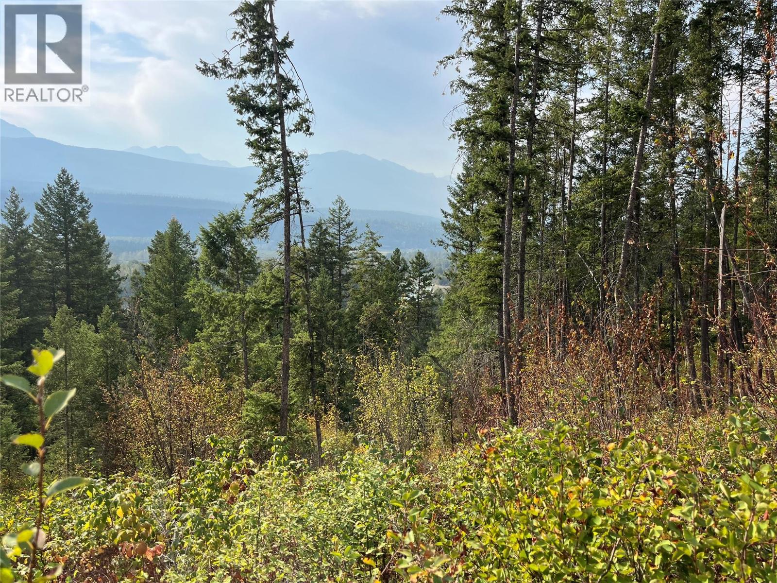 842 Almberg Road Unit# Remainder Lot# Lot, Golden, British Columbia  V0A 1H0 - Photo 12 - 10363605