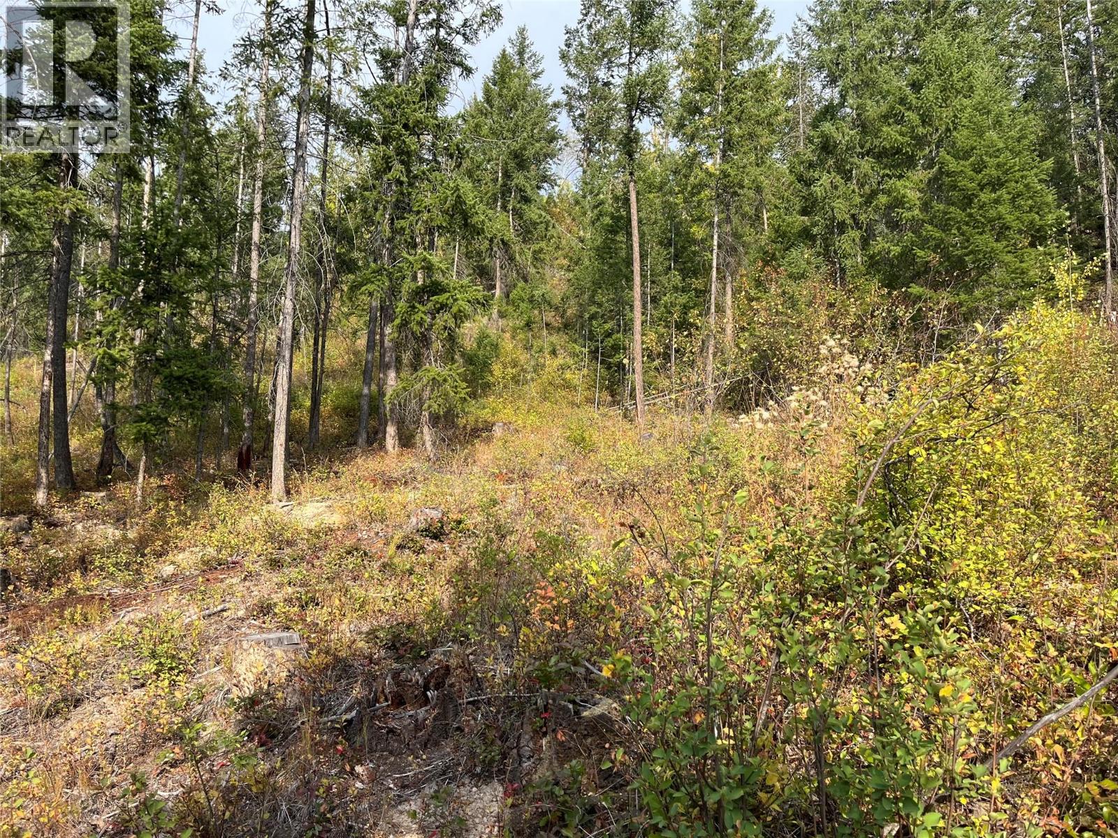 842 Almberg Road Unit# Remainder Lot# Lot, Golden, British Columbia  V0A 1H0 - Photo 13 - 10363605