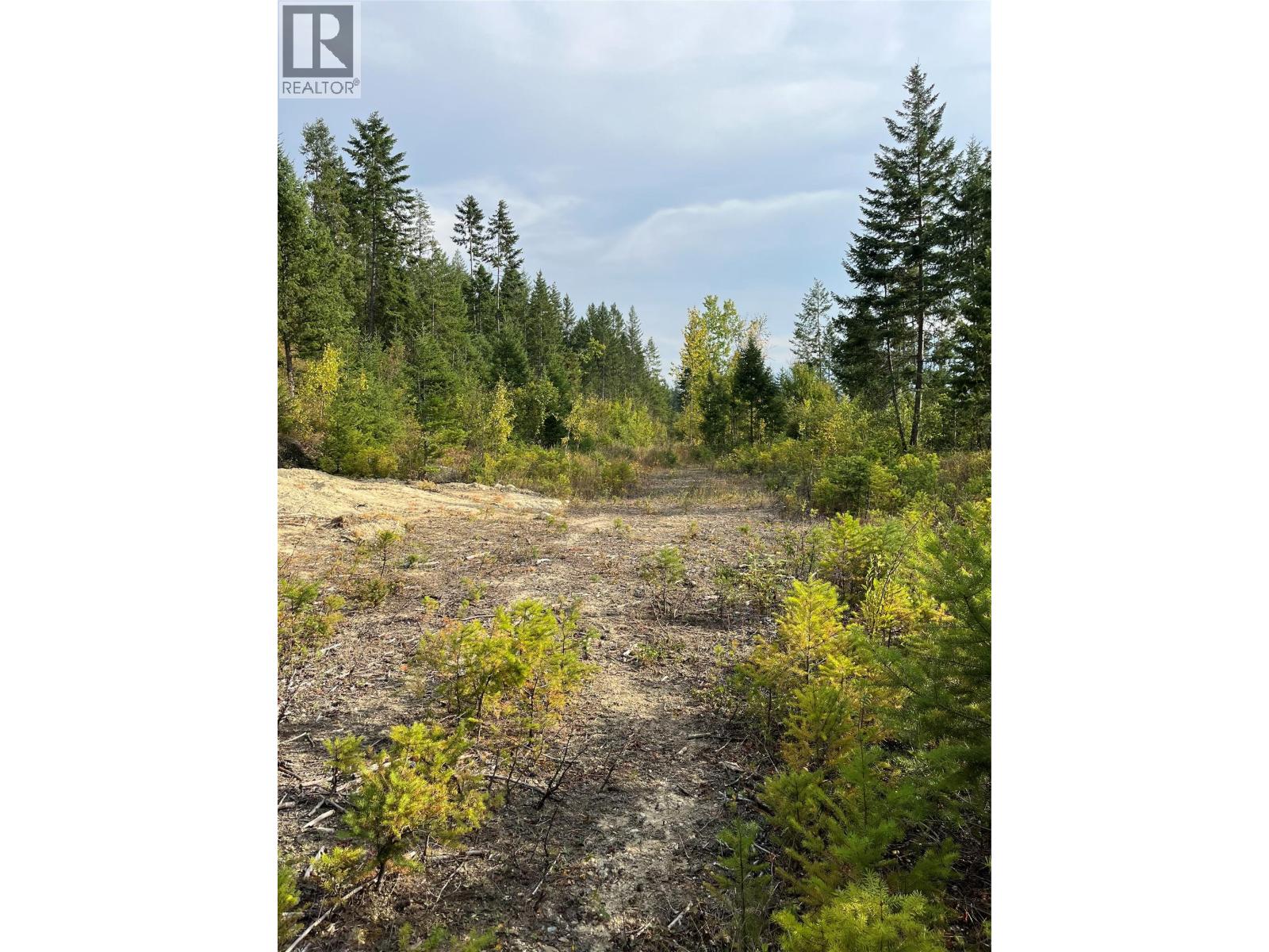 842 Almberg Road Unit# Remainder Lot# Lot, Golden, British Columbia  V0A 1H0 - Photo 14 - 10363605