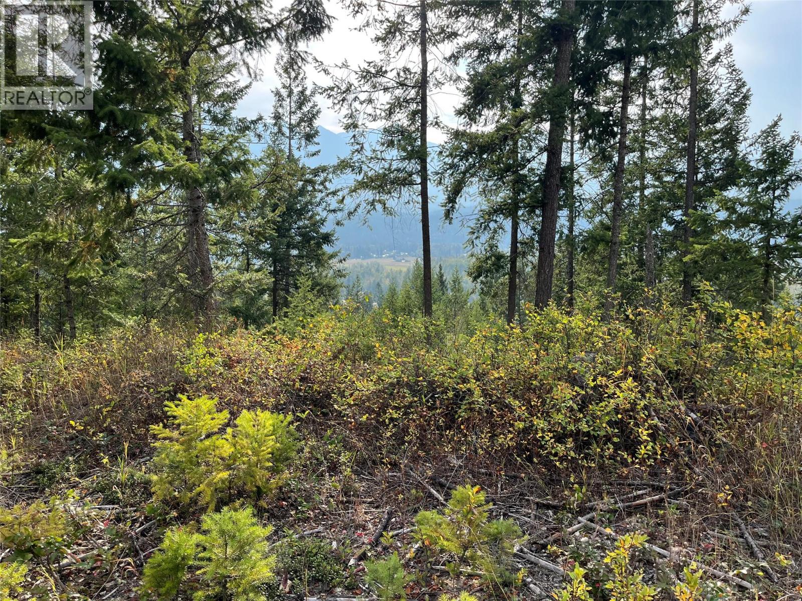 842 Almberg Road Unit# Remainder Lot# Lot, Golden, British Columbia  V0A 1H0 - Photo 15 - 10363605