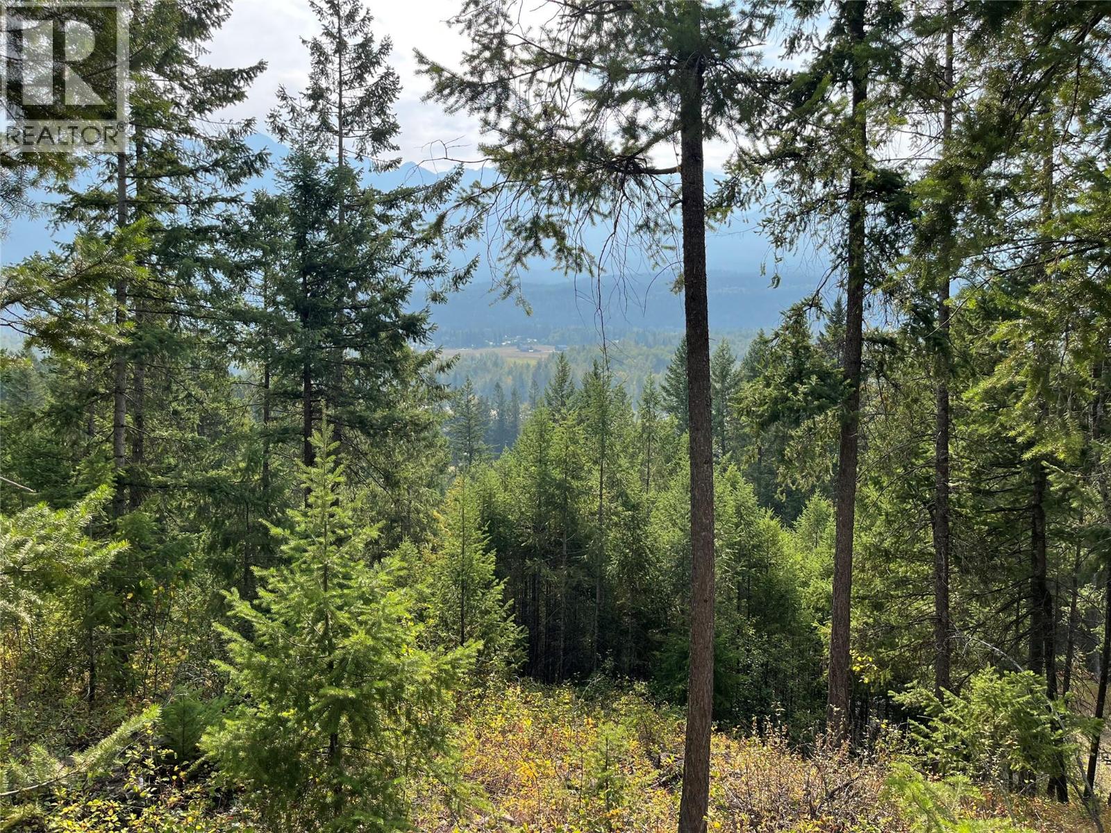 842 Almberg Road Unit# Remainder Lot# Lot, Golden, British Columbia  V0A 1H0 - Photo 16 - 10363605
