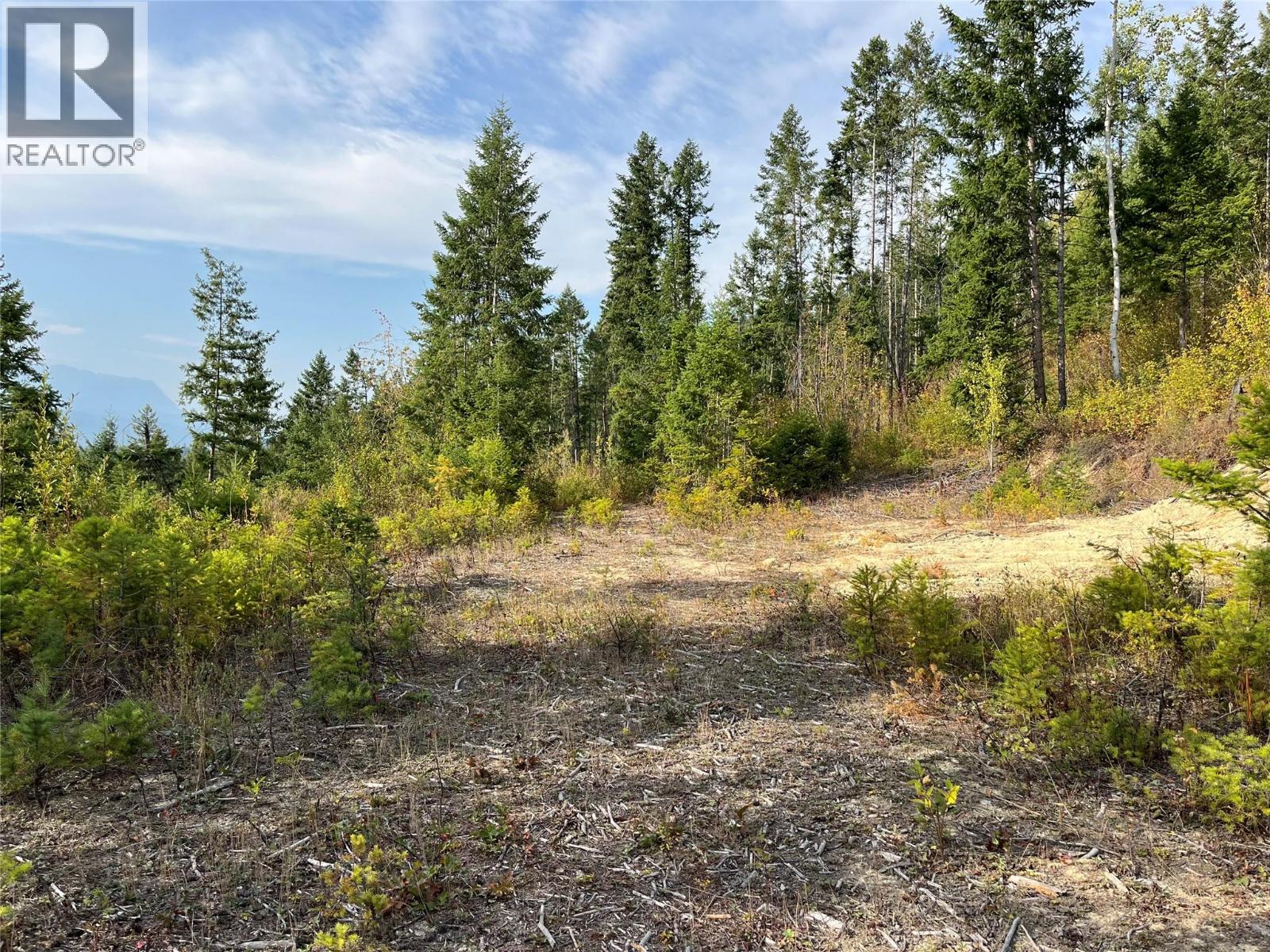 842 Almberg Road Unit# Remainder Lot# Lot, Golden, British Columbia  V0A 1H0 - Photo 17 - 10363605