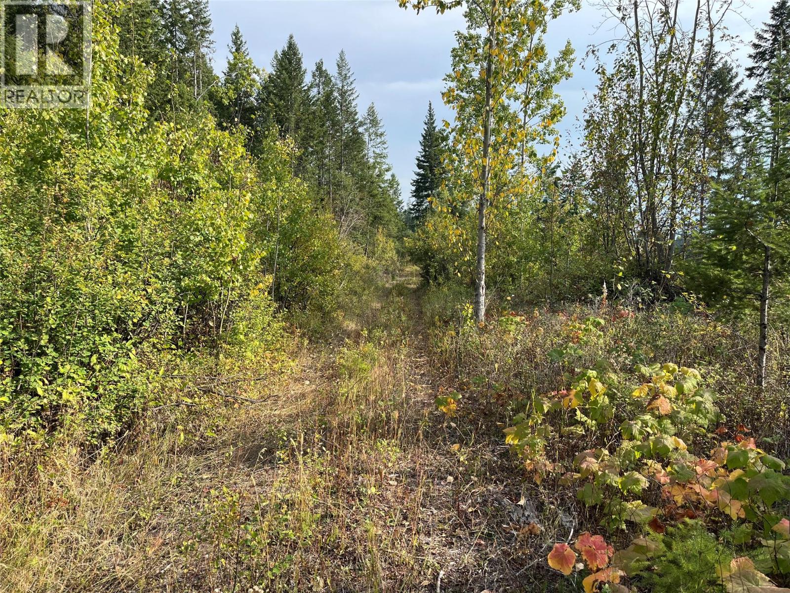 842 Almberg Road Unit# Remainder Lot# Lot, Golden, British Columbia  V0A 1H0 - Photo 18 - 10363605