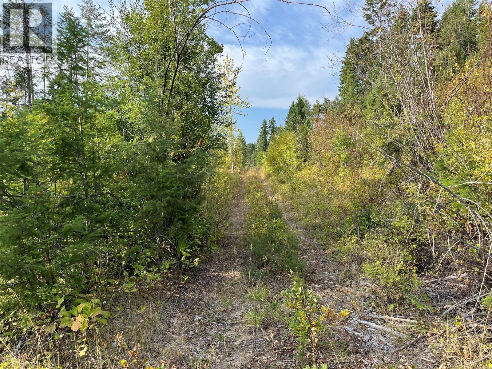 842 Almberg Road Unit# Remainder Lot# Lot, Golden, British Columbia  V0A 1H0 - Photo 20 - 10363605