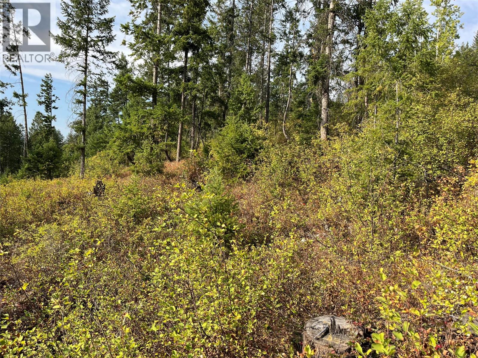 842 Almberg Road Unit# Remainder Lot# Lot, Golden, British Columbia  V0A 1H0 - Photo 21 - 10363605