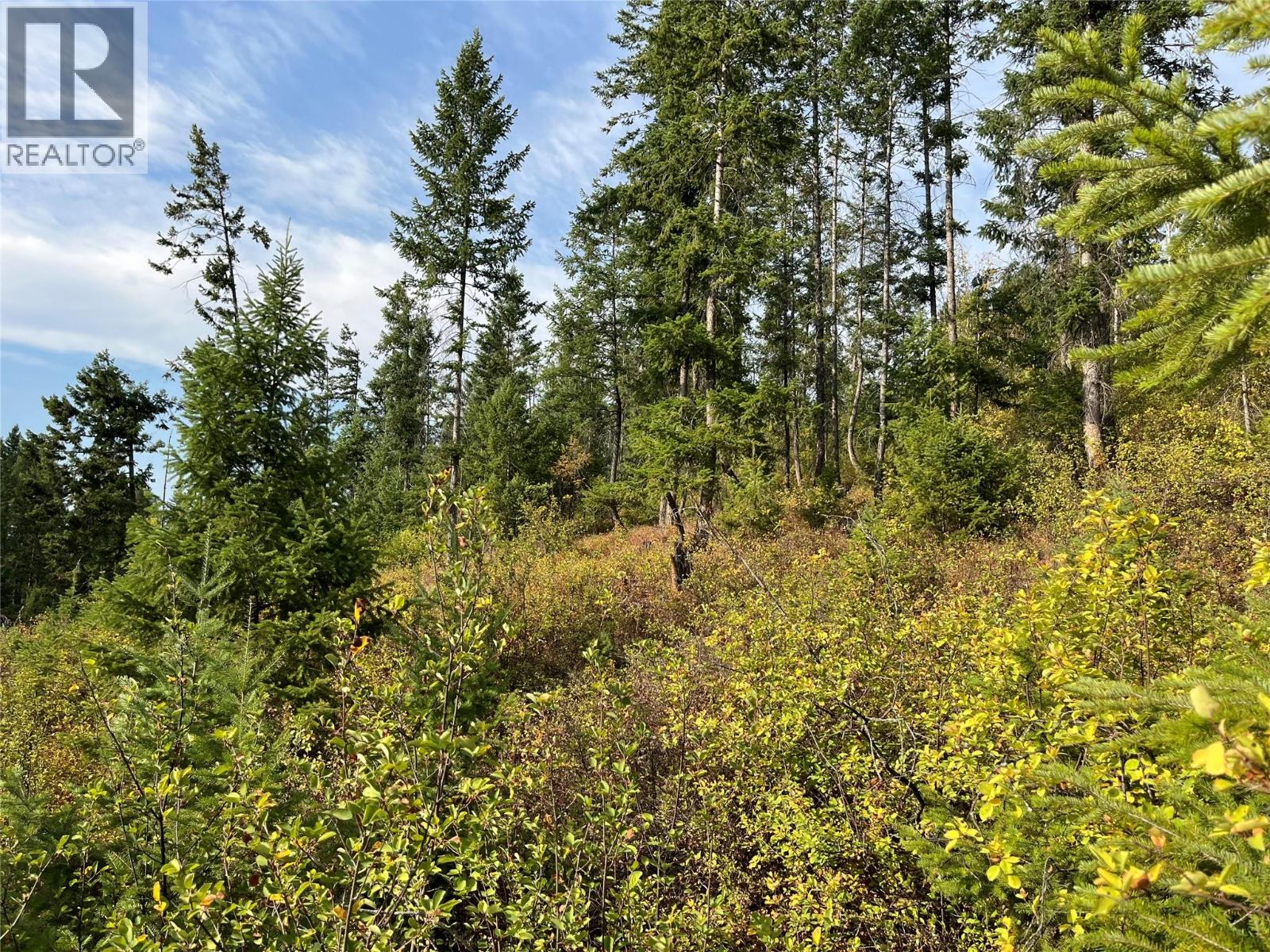 842 Almberg Road Unit# Remainder Lot# Lot, Golden, British Columbia  V0A 1H0 - Photo 22 - 10363605